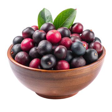 Phalsa or falsa ripe fruit on bowl isolated on Transparent background.