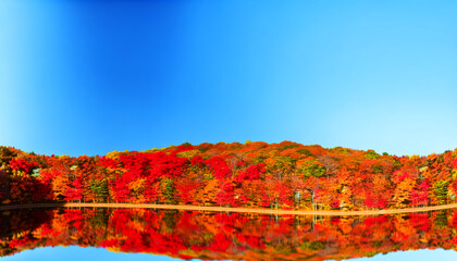 Obraz premium Vibrant Autumn Foliage by the Lake