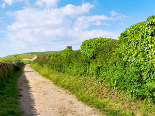 Obraz premium Scenes around rural Abbotsbury village in the southwest county of Dorset England on a sunny May morning 2024 