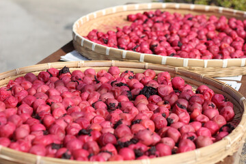umeboshi japanese plum