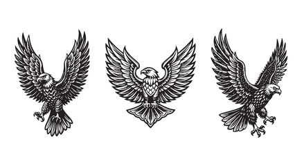 Obraz premium Vintage Detailed Eagle Silhouette