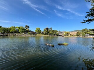 猿沢の池、奈良