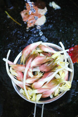 Japanese ginger myouga