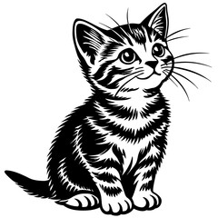 the kitten marvels vector silhouette illustration