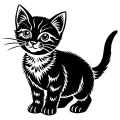 Fototapeta premium the kitten marvels vector silhouette illustration