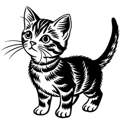 the kitten marvels  vector silhouette illustration
