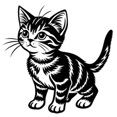 the kitten marvels  vector silhouette illustration