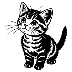 Obraz premium the kitten marvels vector silhouette illustration