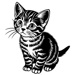 the kitten marvels  vector silhouette illustration