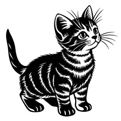 the kitten marvels  vector silhouette illustration