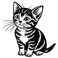 Fototapeta premium the kitten marvels vector silhouette illustration