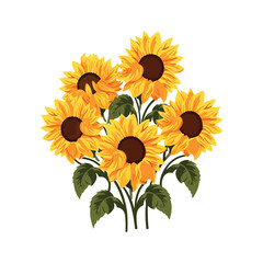 sunflower isolated on white background