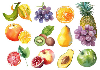 Set watercolor painted collection of fruits. Hand drawn vector fresh food design elements isolated on white background.