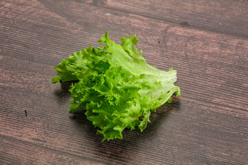 Juicy fresh green frilis salad