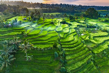 Jatiluwih Rice Terraces in Penebel district, Bali, Indonesia