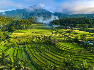 Jatiluwih Rice Terraces in Penebel district, Bali, Indonesia