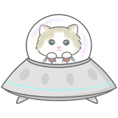Spaceship with cat