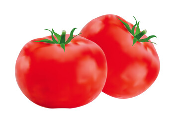 Realistic Fresh Tomato Vector Design Illustration with Green Stems