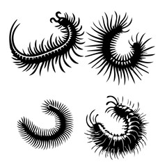 Bristle Worm silhouette on white background