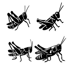 Grasshopper silhouette on white background