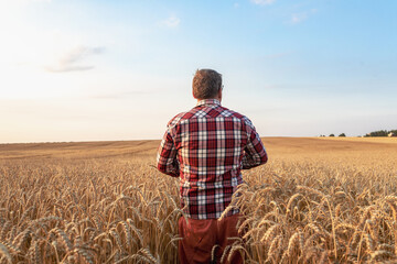A mature farmer in a plaid shirt standing on a wheat field in sunset light. Agriculture business, harvest concept. Professional people. © stone36