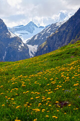 Fototapeta premium Der Säntis im Alpsteingebirge, Kanton Appenzell Innerrhoden (Schweiz)