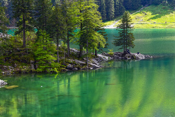 Naklejka premium Der Seealpsee im Alpsteingebirge, Kanton Appenzell Innerrhoden (Schweiz)