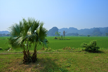Beautiful Landscape at Ninh Binh Province, Vietnam