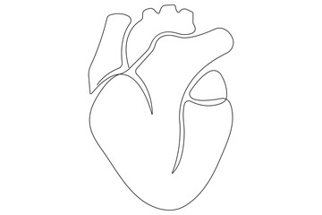 Continuous one line of human heart drawing Anatomical heart outline vector illustration