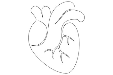 Continuous one line of human heart drawing Anatomical heart outline vector illustration