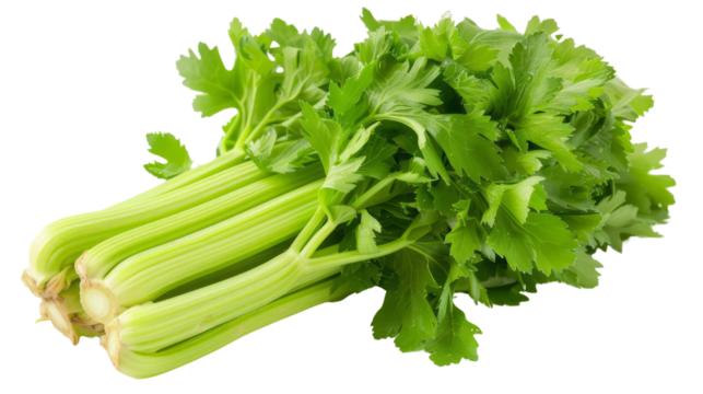 Celery, crunchy, vibrant, Multilayer, on transparent png background, high detail.