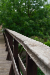 Fototapeta premium wooden bridge in the forest