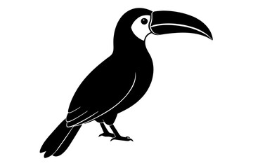 toucan bird silhouette vector illustration