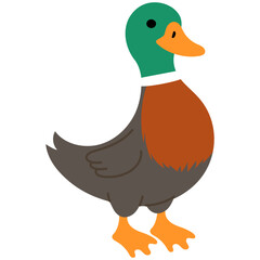 cute mallard illustration