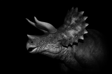 ceratopsian dinosaurs close up on dark background.