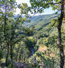 Panoramic photograph of the route to the Pilones, in the Jerte Valley, in the Garganta de los Infiernos. The vegetation is abundant with tall trees, such as oaks and chestnut trees. Caceres, Spain