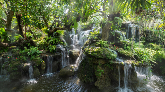 jungle feelings - Jungle Gef&uuml;hle