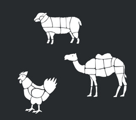 Meat parts of the cow,calf,camel. Eid al adha sacrifice, meat vectors