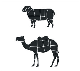 Meat parts of the cow,calf,camel. Eid al adha sacrifice, meat vectors