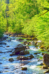 Obraz premium Die Dornbirner Ach bei Dornbirn, Vorarlberg (Österreich)