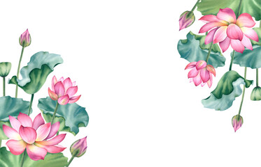 Watercolor pink lotuses on a white background. Water lilies are hand painted. A composition with a lotus. A template for the design of postcards, invitations, and fabrics.