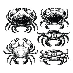 set of crab illustration. hand drawn black and white crabs vector illustration isolated white background