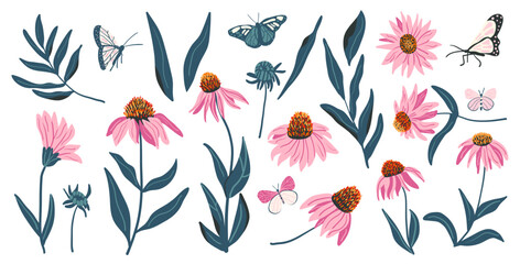 Coneflower set isolated on white background. Purple Echinacea wildflowers collection. Vector hand drawn illustration.