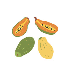 Papaya isolated on white background. Set of exotic sweet dessert. Whole and slice of ripe tropical papaya fruits. Vector hand drawn illustration.