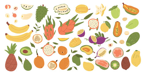 Tropical fruits set isolated on white background. Group of exotic sweet dessert. Slices, half and whole fruit. Vector hand drawn collection illustration.