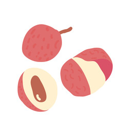 Lychee isolated on white background. Set of exotic sweet berry dessert. Whole and slice of ripe tropical fruits. Vector hand drawn illustration.