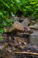 Various stones around a stream in the forest with beautiful sunlight