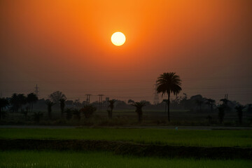 Fototapeta premium majestic view of rural agricultural landscape during sunset, with last rays of setting sun creating a golden moment. Photo taken in Baghmundi, Purulia, West Bengal.