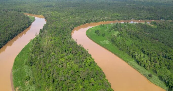 A drone glides above a winding river cutting through the heart of a dense jungle, capturing the scene in all its natural splendor. The river's crystal-clear waters shimmer as they weave through the lu