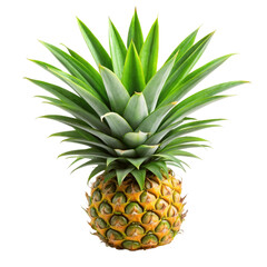 Fototapeta premium Pineapple leaves isolated on transparent background.